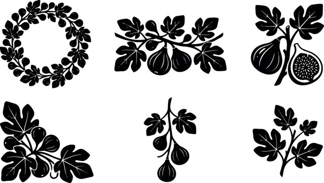 Fig leaf silhouette set for vector art