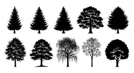 Fototapeta premium Black tree silhouettes on white background