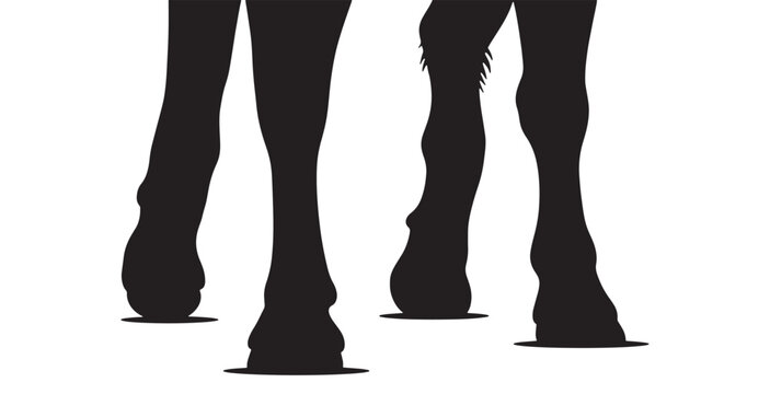 Black silhouette of horse legs and hooves on a white background, vector illustration.