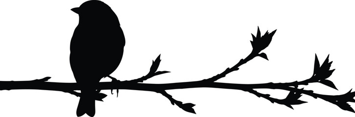 Naklejka premium A black silhouette of a bird sitting on a branch