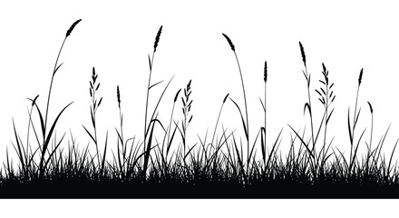 A field of grasses and wildflowers presented as a dark silhouette © nhpvect02