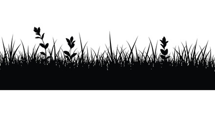 Black vegetation against a white backdrop creates a striking silhouette © nhpvect02