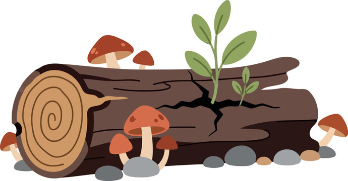 Vector illustration of fallen log with mushrooms, green sprouts, and stones in forest ecosystem