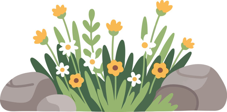 Spring wildflowers and rocks illustration with yellow daisies and green foliage on white background