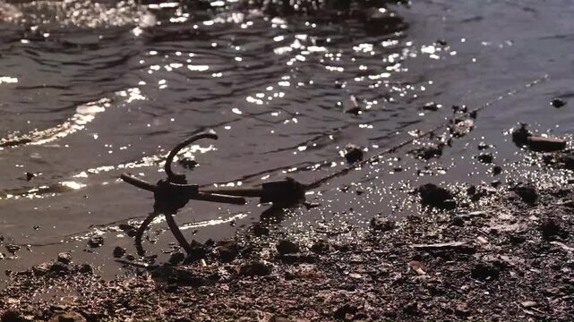 Old rusty anchor on coastal rocks Kenya East Africa heritage maritime travel wide shot