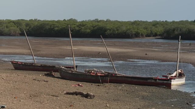 Traditional dhow boat at low tide on mud flat in Lamu Kenya East Africa travel maritime shot