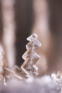 Baryte crystals in septaria. Specimen from Rosans, Hautes-Alpes, France. Micro photography extreme close-up. microscope mineral crystal photography for Scientific use