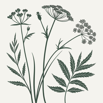 Wildflower botanical silhouettes illustration in dark green line art
