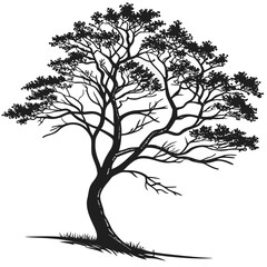 Fototapeta premium Stylized silhouette tree with branches and leaves with black and white