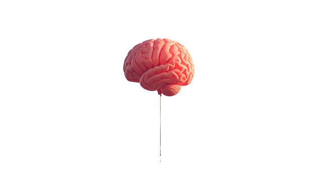 A pink, realistic human brain sits atop a lollipop stick against a stark black background