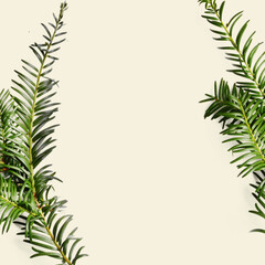 Fototapeta premium Minimal Floral Background with Copy Space – Yew Green Twigs Side Border Composition on Warm Beige