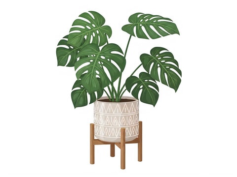 Green monstera plant in a patterned ceramic pot on wooden stand