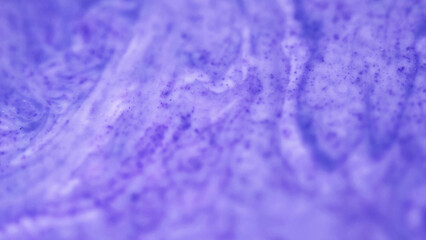Obraz premium Defocused purple paint. Color liquid art. Blue sparkling ink glitter splash shiny water acrylic pigment spill on abstract background.