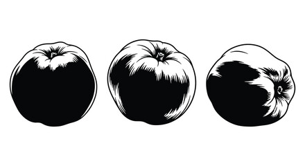Three dark apples are displayed in a striking black and white composition showcasing a dramatic silhouette high quality professional detailed modern © mrvect02