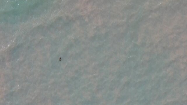 Top down aerial turquoise sea water texture and coastal jungle scenery in Phuket Thailand