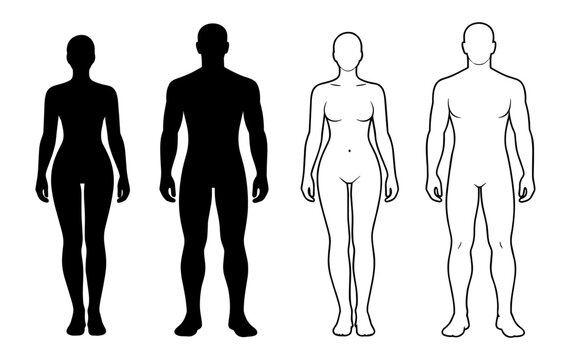 Male and female human body template with silhouette and outline