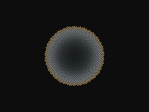 Abstract Phyllotaxis Botanical Nature Art Print