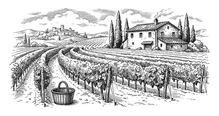 Fototapeta premium Vineyard wine landscape with farmhouse in hand drawn vintage engraving