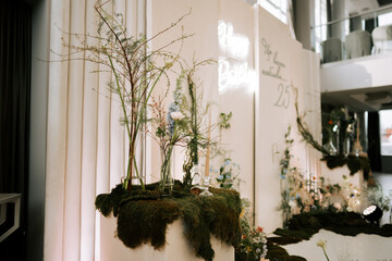 Green plants and decoration for special event in urban space with bright lights © Darius
