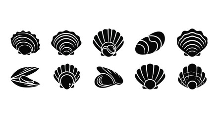A collection of various seashell shapes depicted in a striking black silhouette high quality professional detailed modern elegant stylish clean crisp © rabbivay