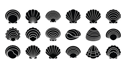 A collection of black seashell outlines and shapes displaying varying spiral and ribbed patterns a distinct silhouette high quality professional detailed © rabbivay