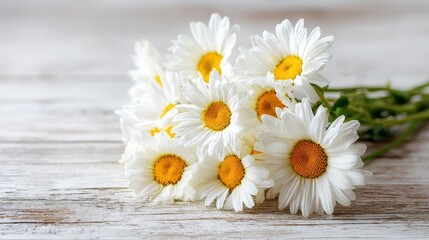 Obraz premium Close-up of daisies on pale wood surface with white petals and yellow centers