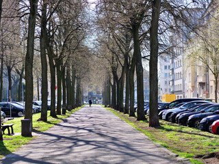 Obraz premium Long asphalt pedestrian path in city park. Alley of tall bare trees with shadows. Person walking in distance on walkway. Car parking lot along tree-lined street. Spring sunny day in urban neighborhood