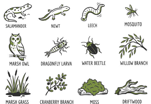 Hand-drawn swamp icon set in black and green. Features amphibians, insects, plants, and wetland elements. Suitable for nature design, educational materials, stickers, and eco projects.