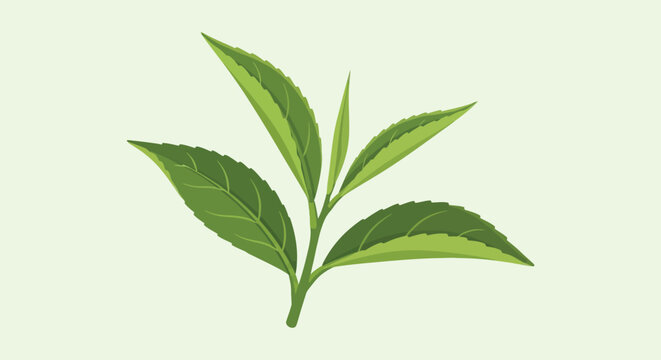A vibrant stylized illustration of green tea leaves against a pale background presented as a silhouette high quality professional detailed modern