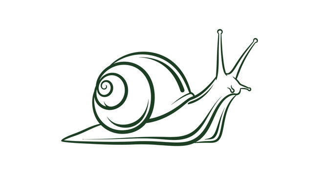 Minimalist linear drawing of a snail with spiral shell on white background