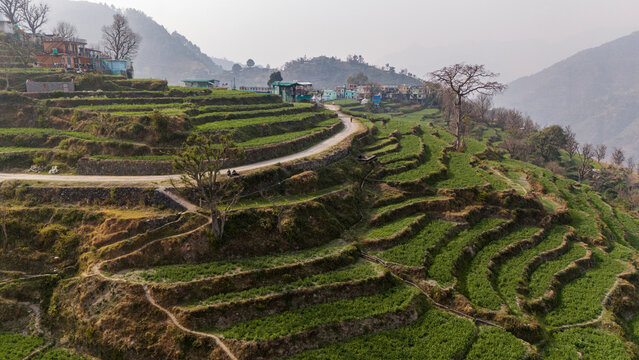 Aerial landscape view of Sainji corn village near Mussoorie, Uttarakhand, with village houses, terrace farms, and forests of deodar and pine on misty Himalayan slopes in winter.