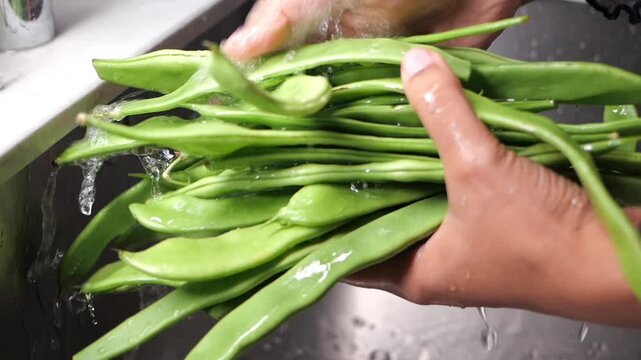 Washing green beans in the kitchen sink