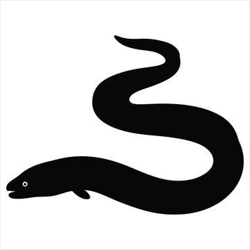 A black silhouette of an eel on a white background