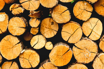 Fototapeta premium stack of firewood