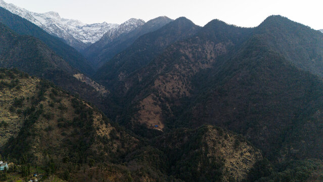 Morning landscape view from Triyuginarayan village in the Garhwal Himalayas, featuring snow-capped Kedarnath peaks, lush forests, and high-altitude terrain with pine, oak, rhododendron, & deodar trees