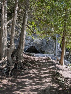 Idyllic park landscape with a walking path through plenty of grass, lined with trees and moss-covered rocks, Hiking in nature - active recreation in Canada