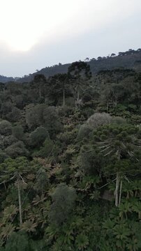 Serra Catarinense Urubici Santa Catarina