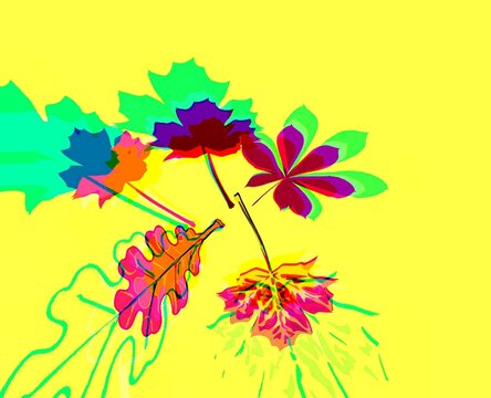 
Multicolored group of leaves