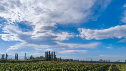 Obraz premium landscape with clouds and sky
