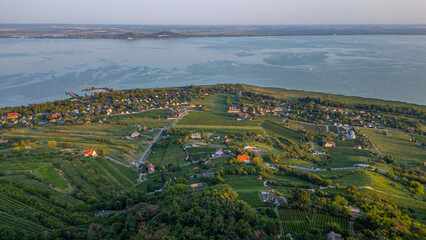 Obraz premium Panorama view of vineyards at Badacsony in Hungary