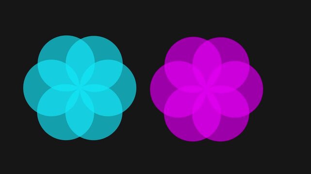 Animation of intersecting circles unfolding into geometric flower patterns. Blue and magenta purple loading symbol motion on black background