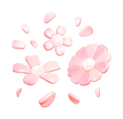 Obraz premium Vector 3D pink floral composition with flowers and scattered petals for beauty branding packaging invitation design and spring stationery in glossy pastel illustration style