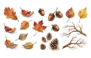 Autumn leaves and forest elements set with pinecones acorns branches © Bipudas