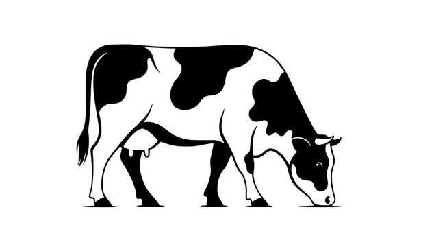 Spotted cow outline vector grazing farm animal minimal line art illustration