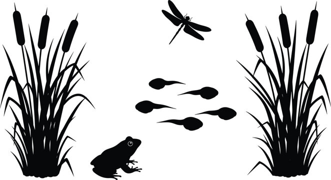 Web"Black silhouette illustration of pond ecosystem with cattail plants, frog, tadpoles, and dragonfly, representing natural habitat, amphibian life cycle, aquatic vegetation, and wildlife artwork"