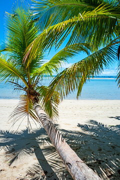 Moirer&eacute; Beach, on Boipeba Island, is an ecological paradise featuring deserted beaches, calm, crystal-clear waters, natural pools, and coconut palms. Cairu Archipelago, Bahia, Brazil. 2024
