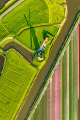 Naklejka premium Aerial view of vibrant tulip fields in the Netherlands at sunrise. Vertical photo. Traditional Dutch windmill stands by a calm canal. Symmetrical rows of colorful flowers.
