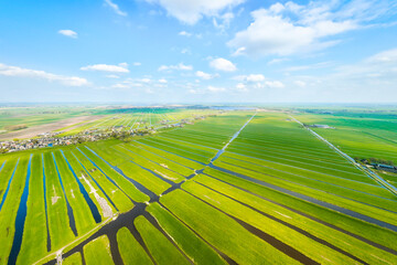 Naklejka premium Aerial view of Dutch agricultural landscape with green fields, meadows and water canals under blue sky. Summer sunny day in Netherlands countryside. Rural agriculture environment from above.