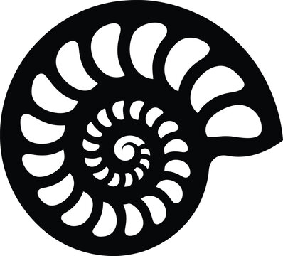 a spiral seashell with a smooth logarithmic curve silhouette vector illustration on transparent background