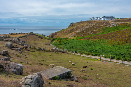 Greeb farm at Land's End in England